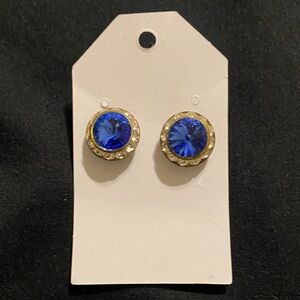 Elegant Blue and Rhinestone Stud Earrings